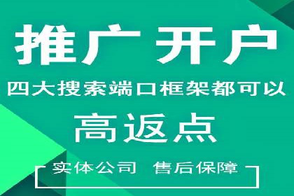 精准营销：百度推广平台的成功案例解析